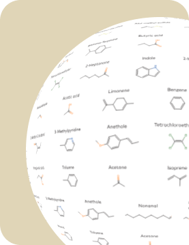 Interactive marketing for VOC Atlas